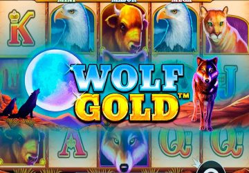 Автомат Wolf Gold в Champion Сasino